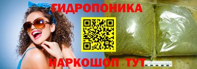Альфа ПВП Можга