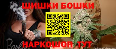 Альфа ПВП Можга