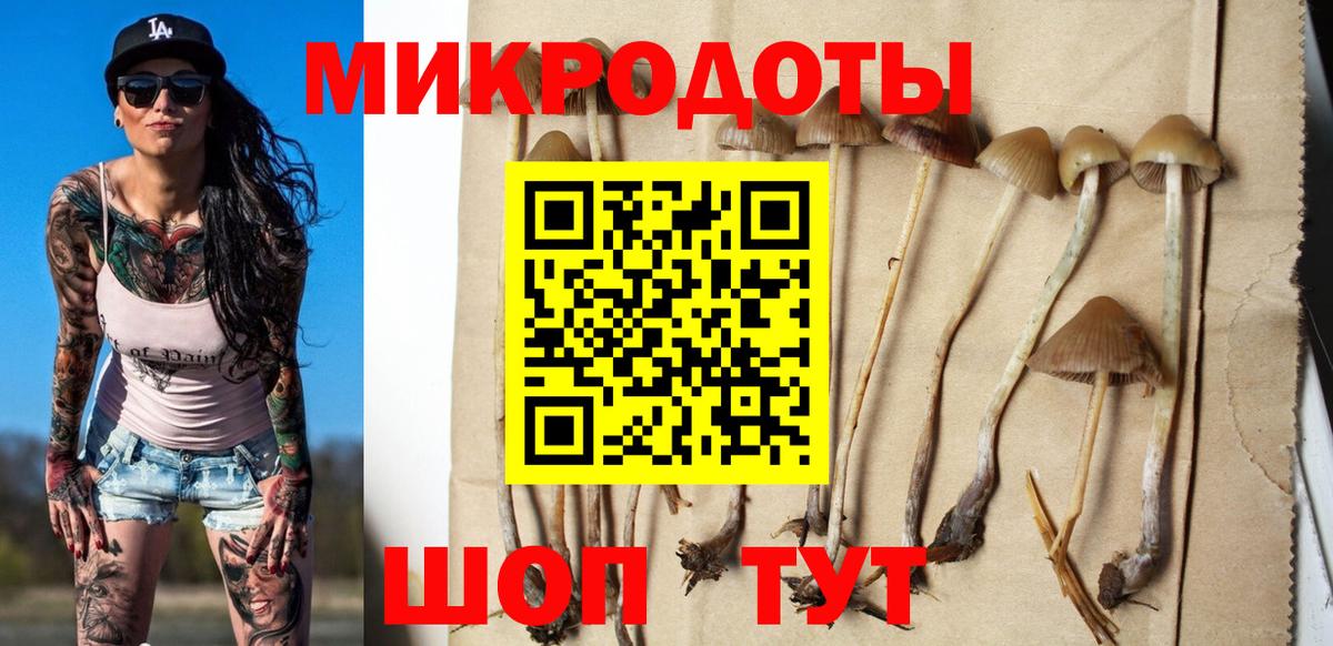 Владимир  Псилоцибиновые грибы ЛСД  Вход с VPN  Псилоцибиновые грибы Psilocybine cubensis 