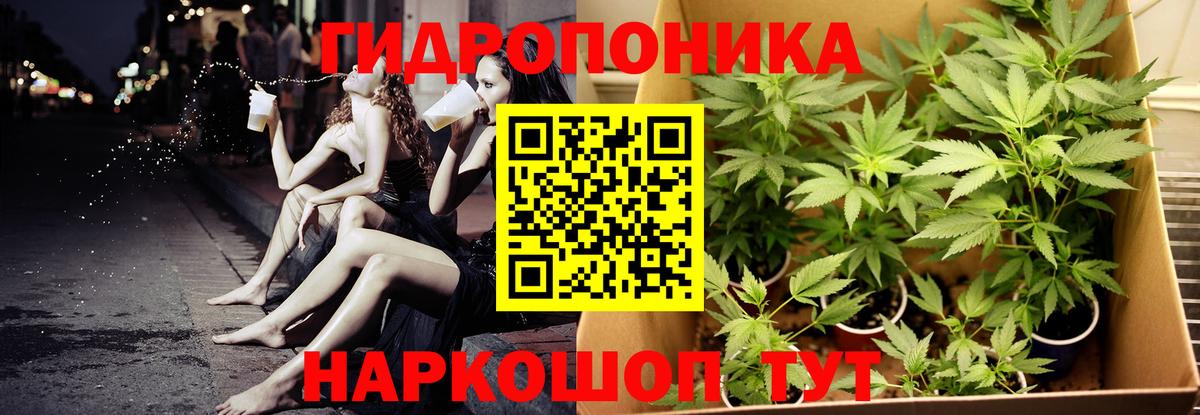 Каннабис семена Владимир